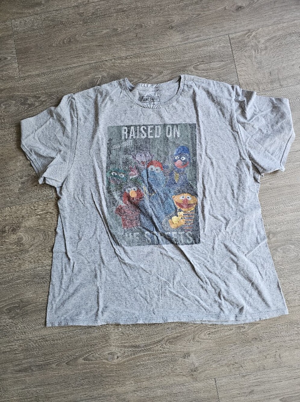Vintage Sesame Street Men’s Gray Graphic Tee - Raised On The Street